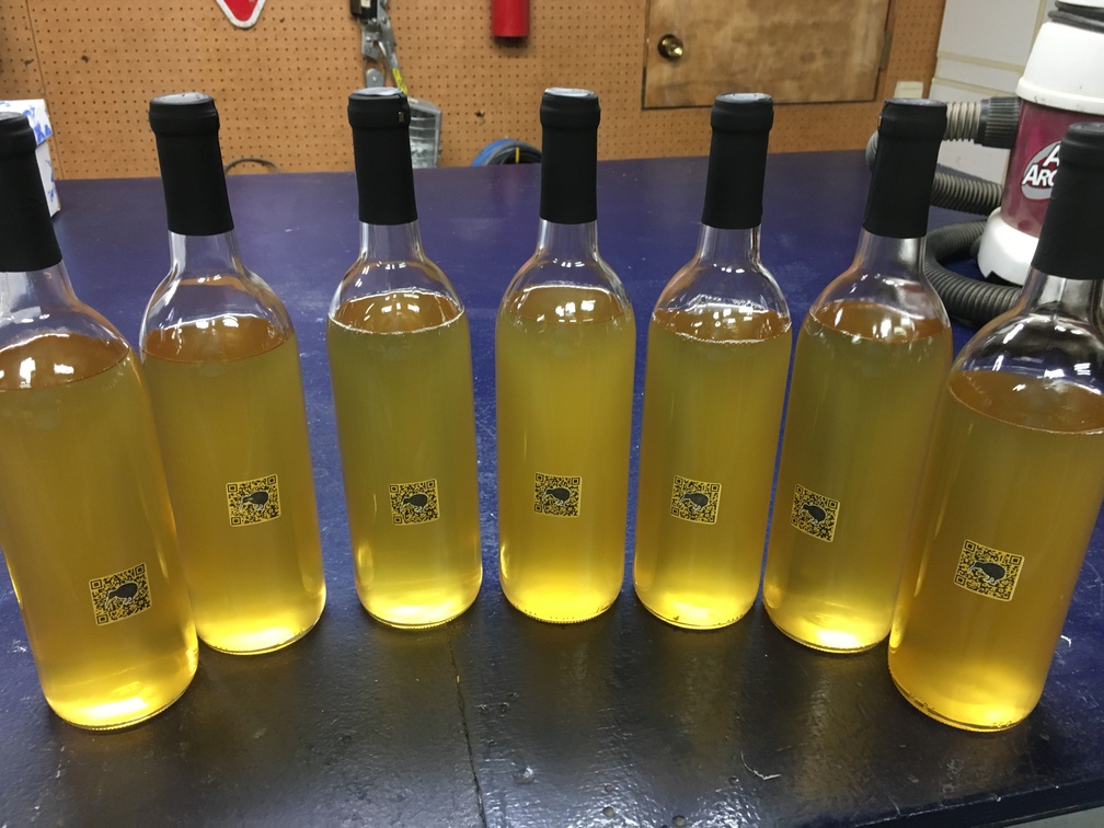 An array of Jack's mead bottles lined up in a row.